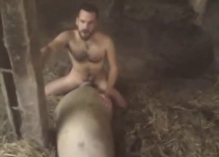 Naked dude fucking a farm animal in the barn