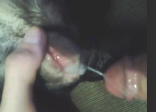 Creampied dog pussy looks so special on cam