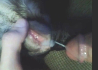 Creampied dog pussy looks so special on cam