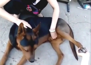 Chinese zoophile is happy to jerk off a dog