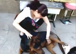 Chinese zoophile is happy to jerk off a dog