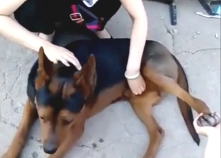 Chinese zoophile is happy to jerk off a dog