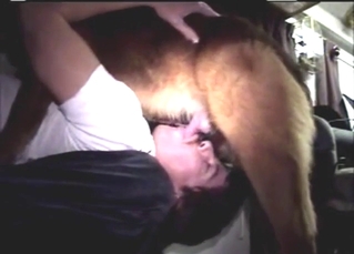 Knot tastes the best when you're a gay zoophile