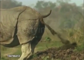 Rhino is going to shit & you will almost smell it