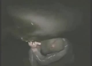 Bull's boner gets sucked by a crazed farmer