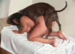 Sexy pervert is getting her twat drilled by an animal