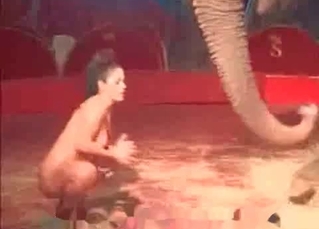 Nude slut is playing with an elephant