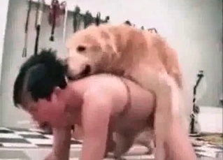 Two whores are making this puppy fuck them