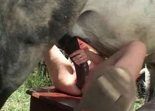 Watch this brutal horse jizzing massively
