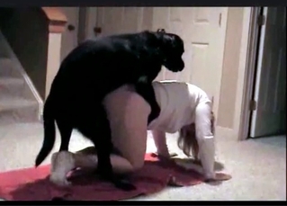Wild fuck session with a hound
