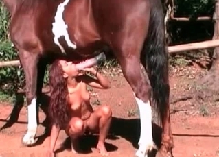 Passionate horse is pleasing a woman